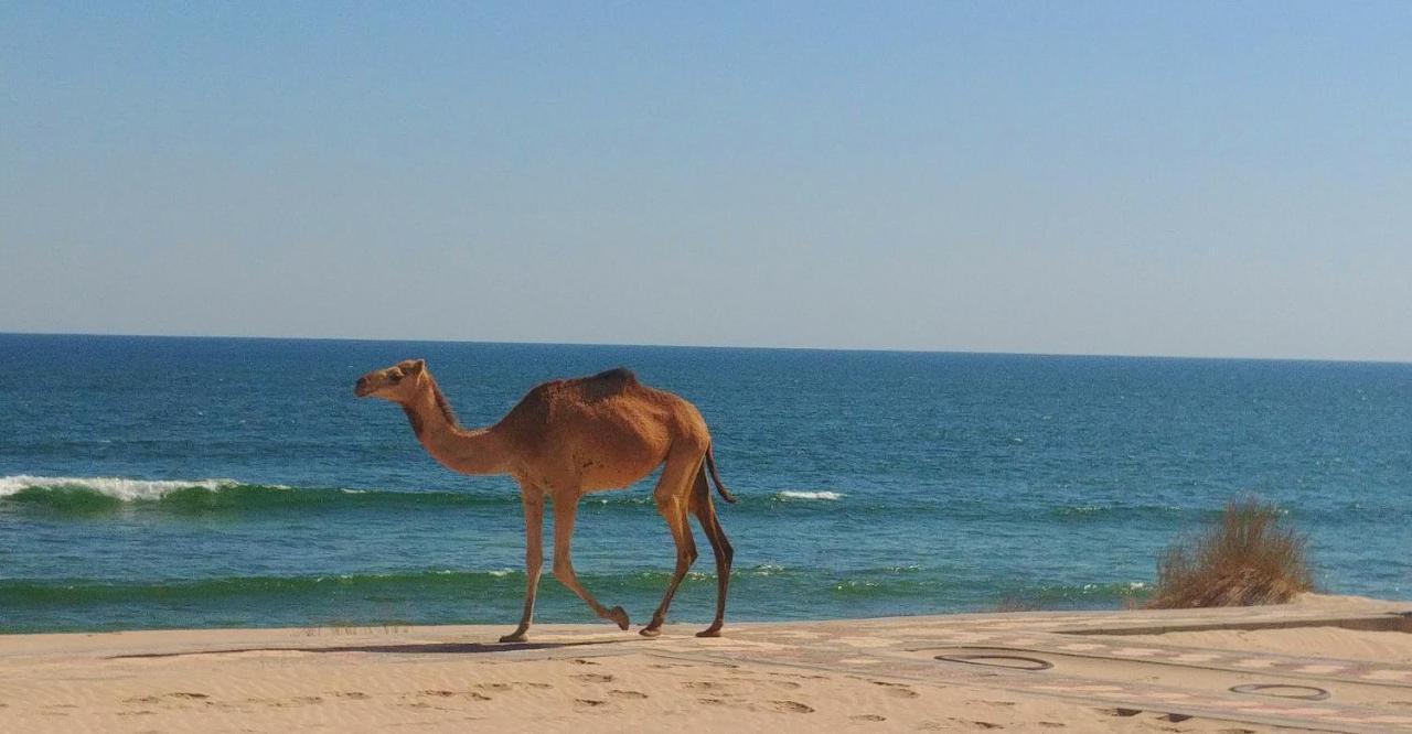 Arabian Sea Motel Сур Экстерьер фото